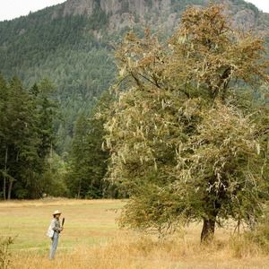 Meet your Posher, Cedric